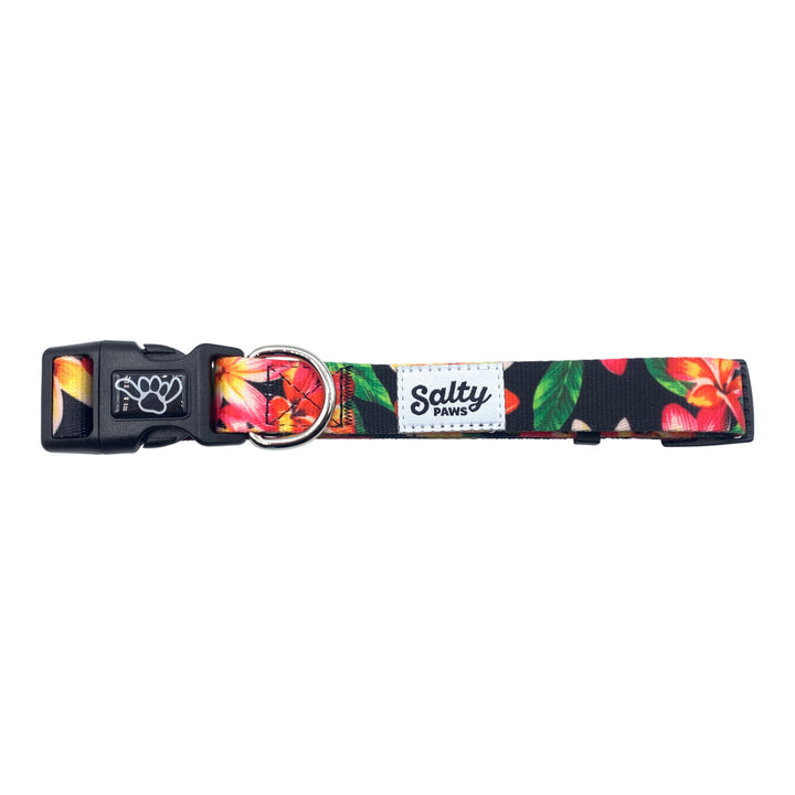 Black Floral matching dog collar and leash — Salty Paws bold tropical boy dog set