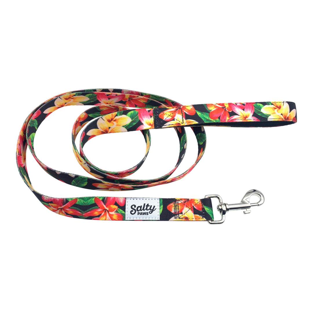 Salty Paws Black Floral dog leash flat — neoprene-lined handle, tropical bold style