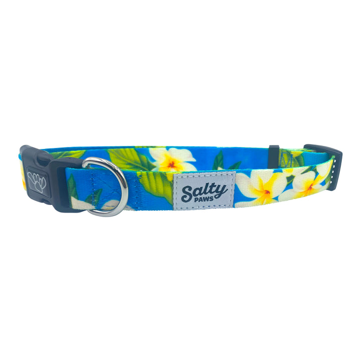 Blue Plumeria coastal Salty Paws boy dog collar — Hawaiian floral print, S/M/L