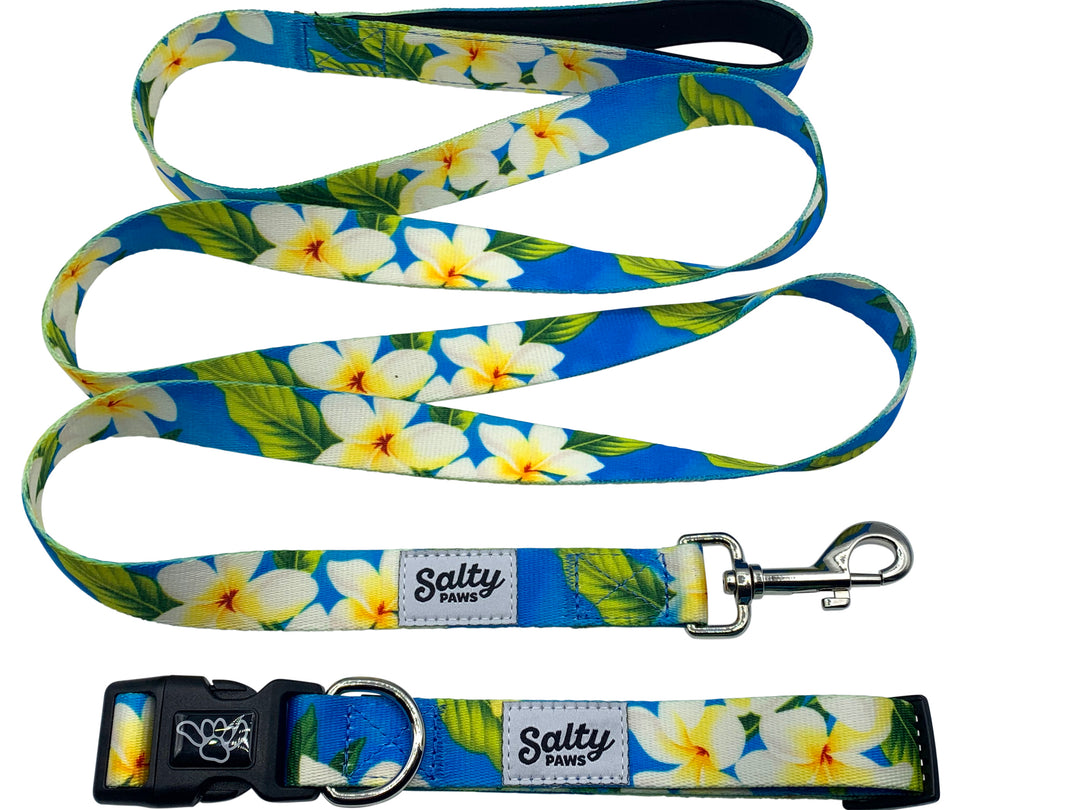 Salty Paws Blue Plumeria matching set — coastal Hawaiian collar and leash for boy dogs