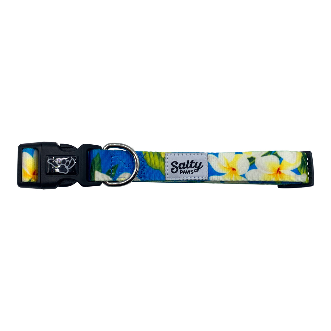 Blue Plumeria boy dog collar flat lay — Salty Paws coastal Hawaiian collar