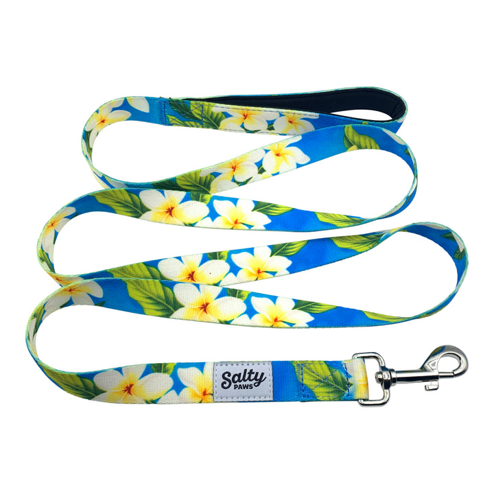 Blue Plumeria boy dog matching leash — Salty Paws coastal Hawaiian dog leash 6ft