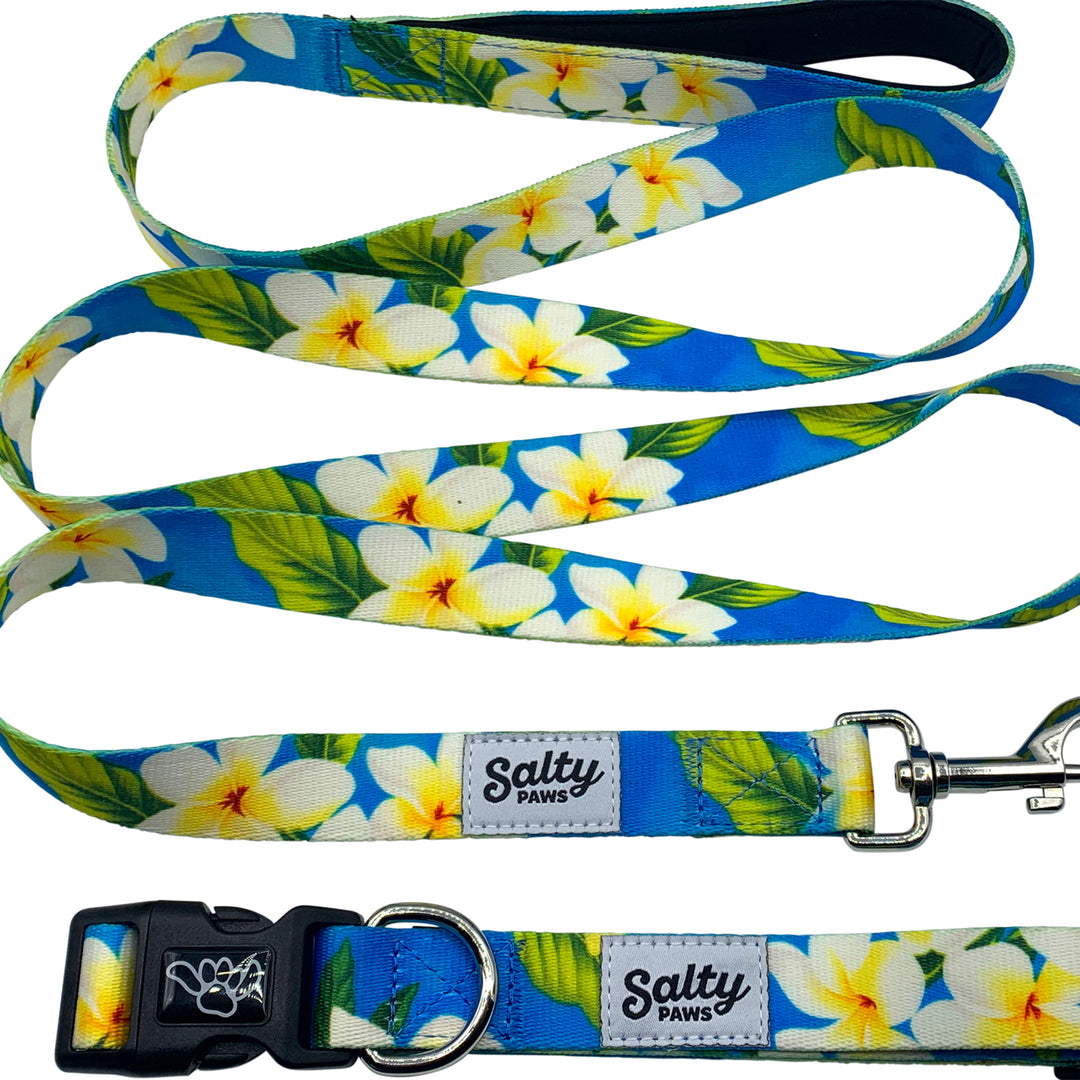 Blue Plumeria matching collar and leash set — Salty Paws coastal boy dog bundle