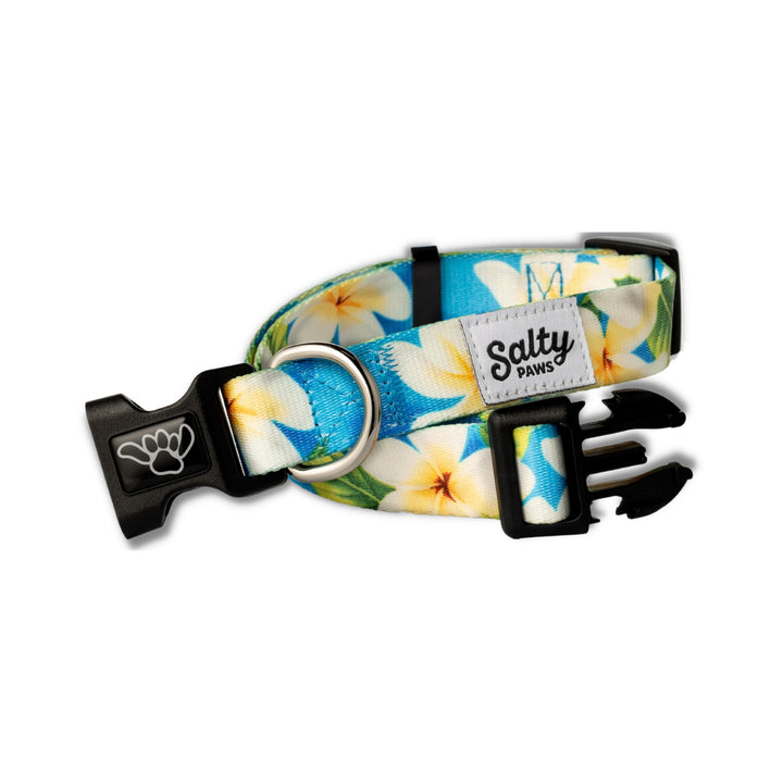 Blue Plumeria coastal dog collar on white — Salty Paws boy dog collar, shaka paw style