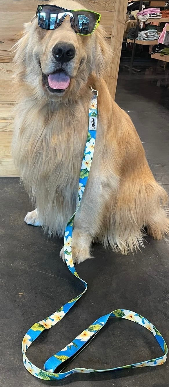 Golden retriever wearing Blue Plumeria matching set — Salty Paws boy dog gift bundle