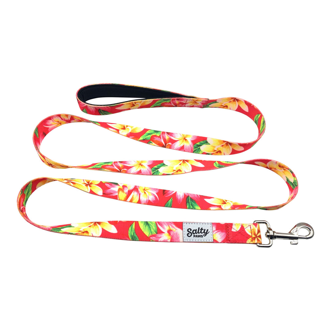 Pink Floral 6ft matching dog leash — Salty Paws girl dog leash, neoprene-lined handle