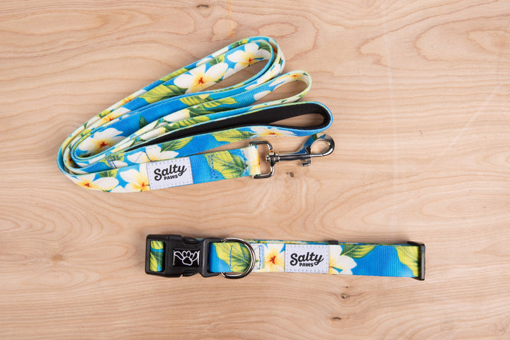 Salty Paws Blue Plumeria matching collar and leash set — coastal boy dog gift bundle