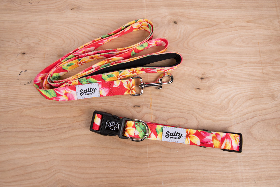 Pink Floral matching dog collar leash set — coordinated bundle, gift for girl dogs