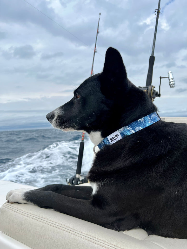 Salty Paws Blue Wave Kanagawa boy dog collar — large dog boat fishing style