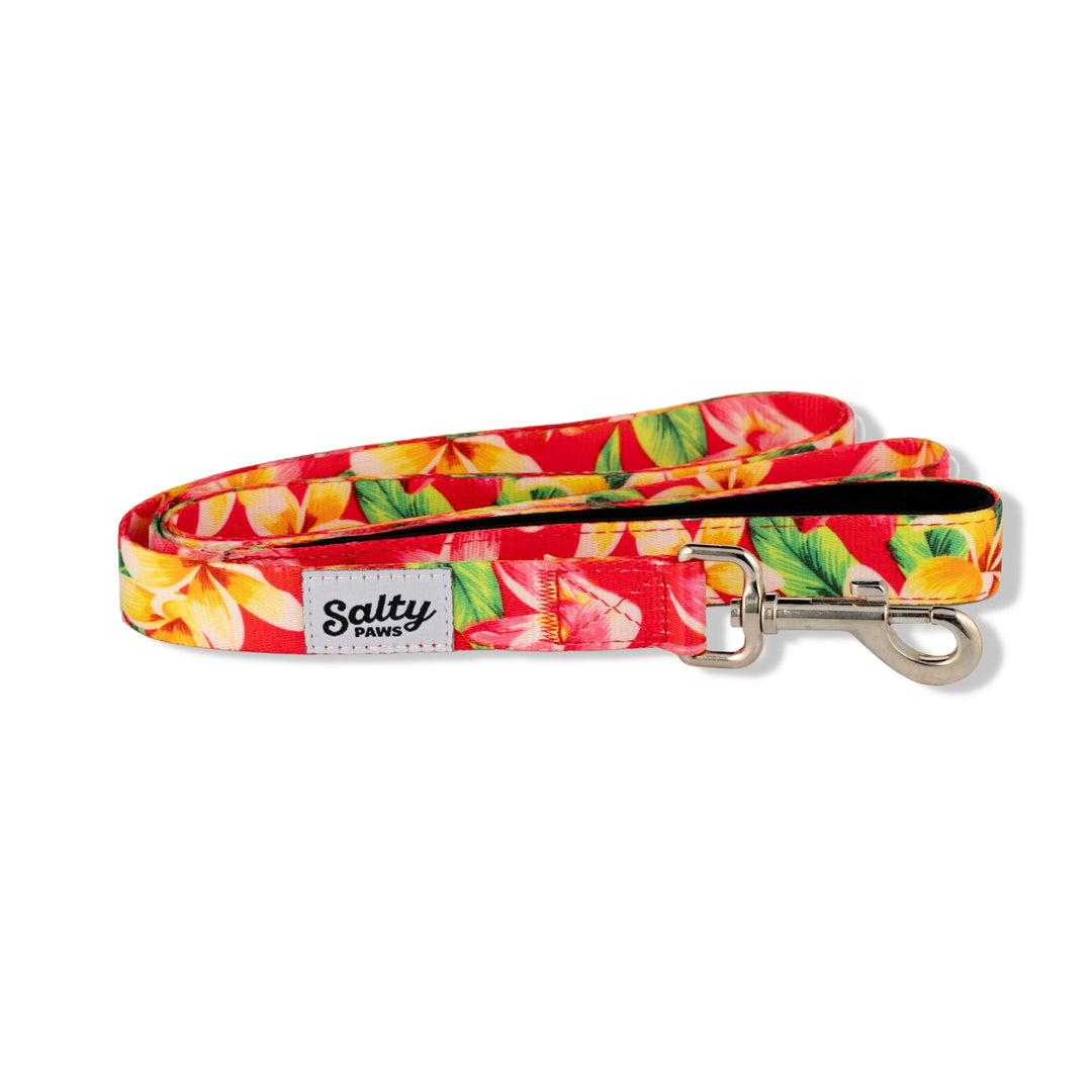 Salty Paws Pink Floral Hawaiian dog leash — 6ft girl dog leash, recycled webbing