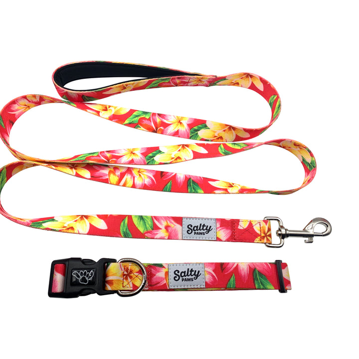 Salty Paws Pink Floral matching dog collar and leash set — girl dog gift bundle