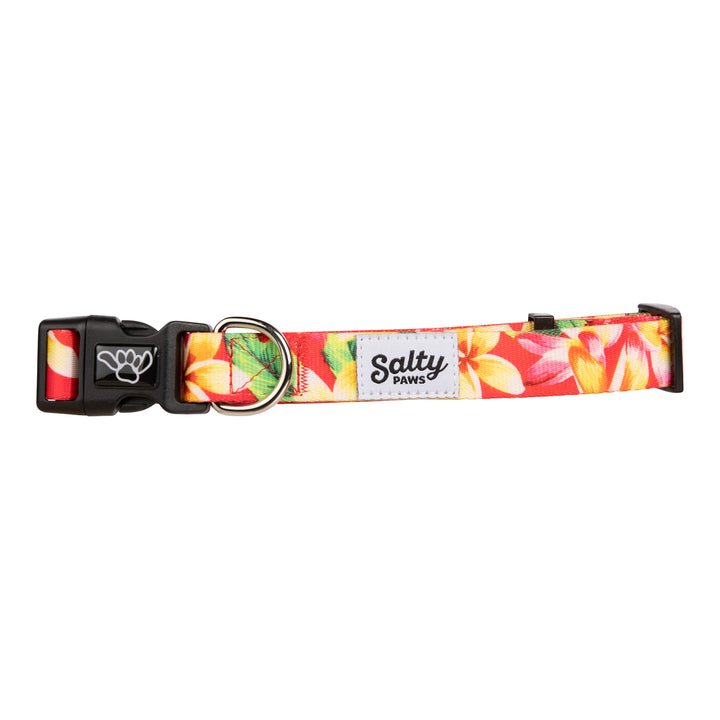 Salty Paws Pink Floral collar close-up — recycled webbing, cute girl dog collar