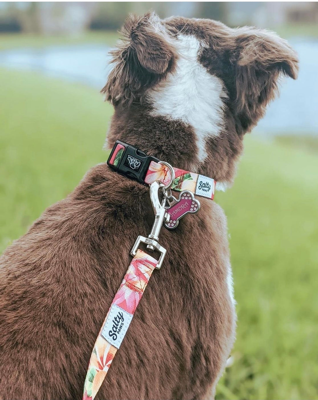 Salty Paws Pink Floral collar and leash matching set — perfect gift bundle