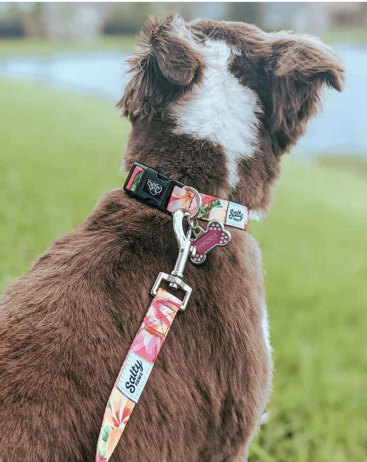 Salty Paws Pink Floral collar and leash matching set — perfect gift bundle