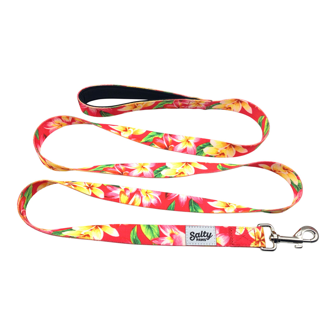 Pink Floral matching leash and collar flat lay — Salty Paws gift bundle for girl dogs