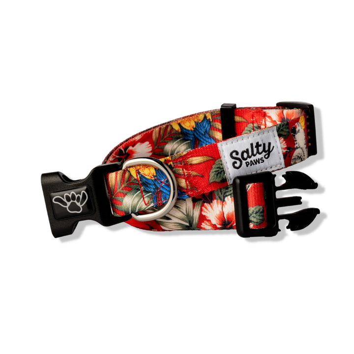 Red Hawaiian hibiscus dog collar — Salty Paws bold tropical girl dog collar