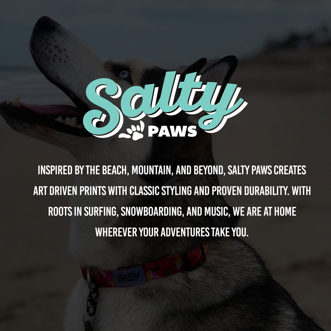 Salty Paws adventure dog brand — Baja Aztec boho collar inspired by surf, beach, and travel