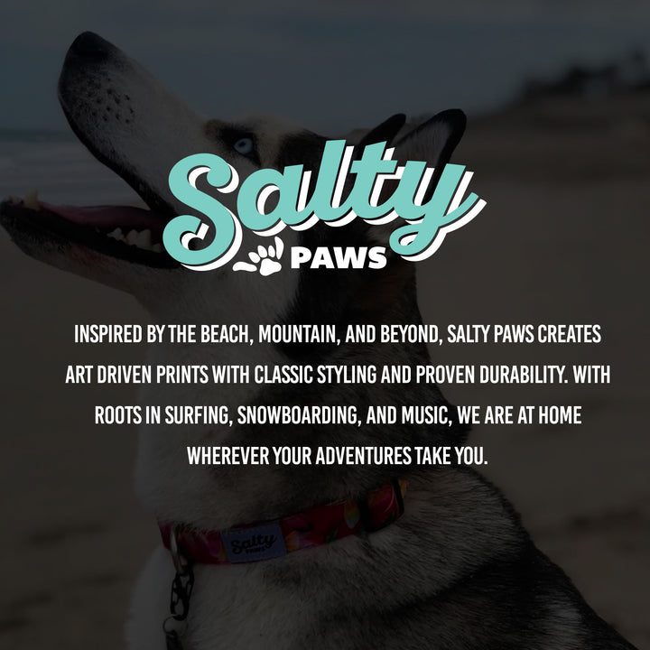 Salty Paws adventure dog brand — Baja Aztec boho collar inspired by surf, beach, and travel