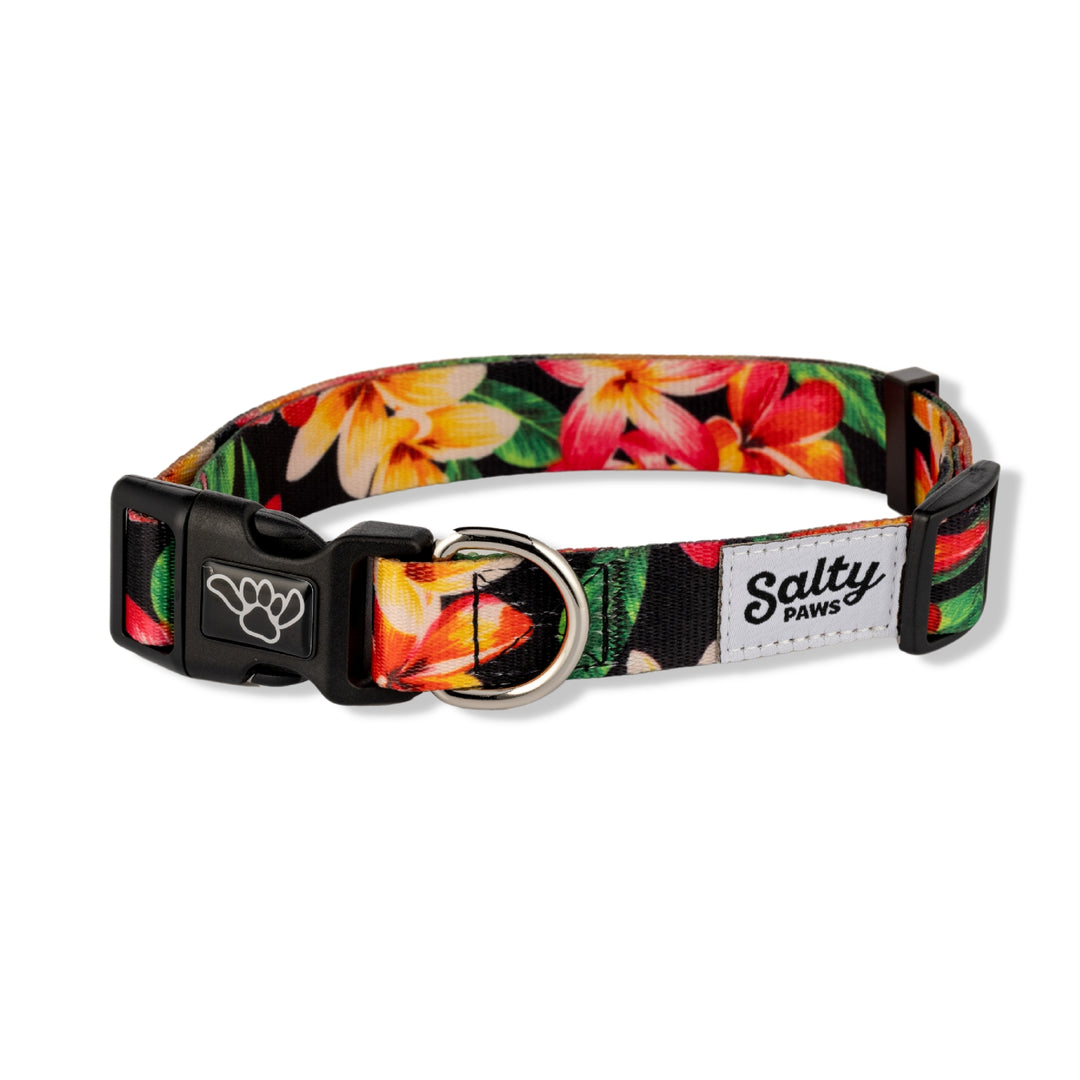Salty Paws Black Floral Hawaiian dog collar — bold boy dog collar, eco recycled