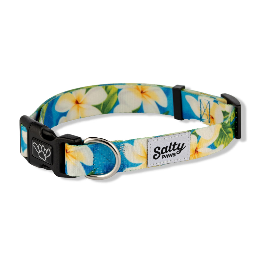 Salty Paws Blue Plumeria Hawaiian dog collar for boy dogs — eco recycled, S/M/L