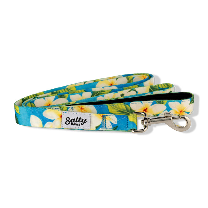Salty Paws Blue Plumeria Hawaiian dog leash — 6ft coastal eco recycled leash