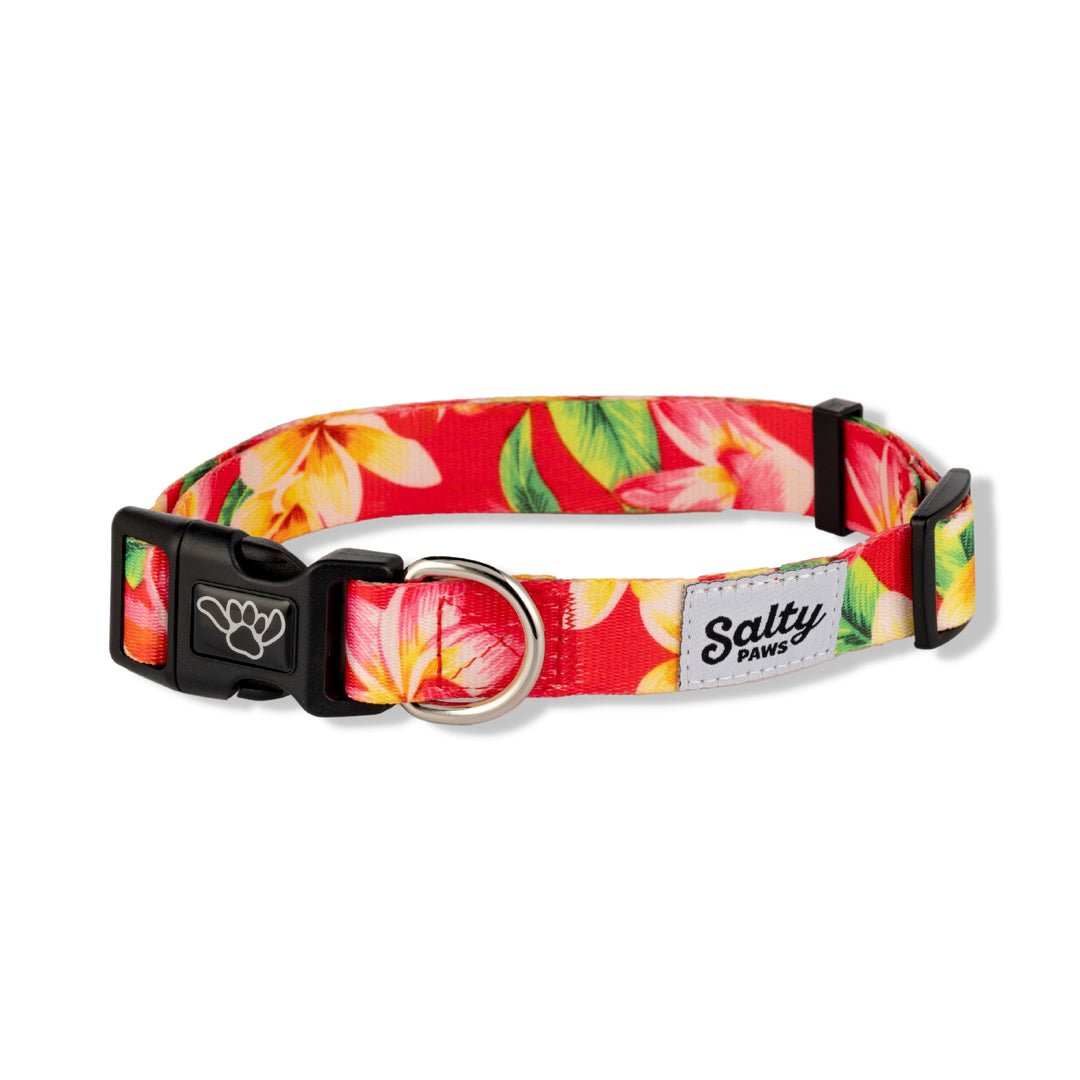 Salty Paws pink floral Hawaiian dog collar for girls — eco recycled webbing, adjustable S/M/L