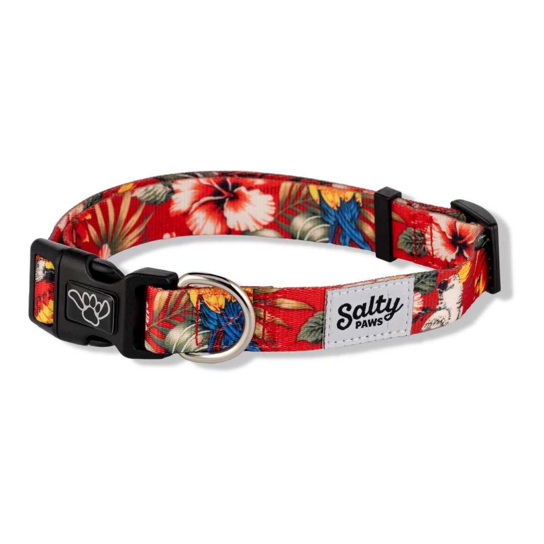 Salty Paws Red Floral hibiscus dog collar — bold tropical girl dog Hawaiian collar