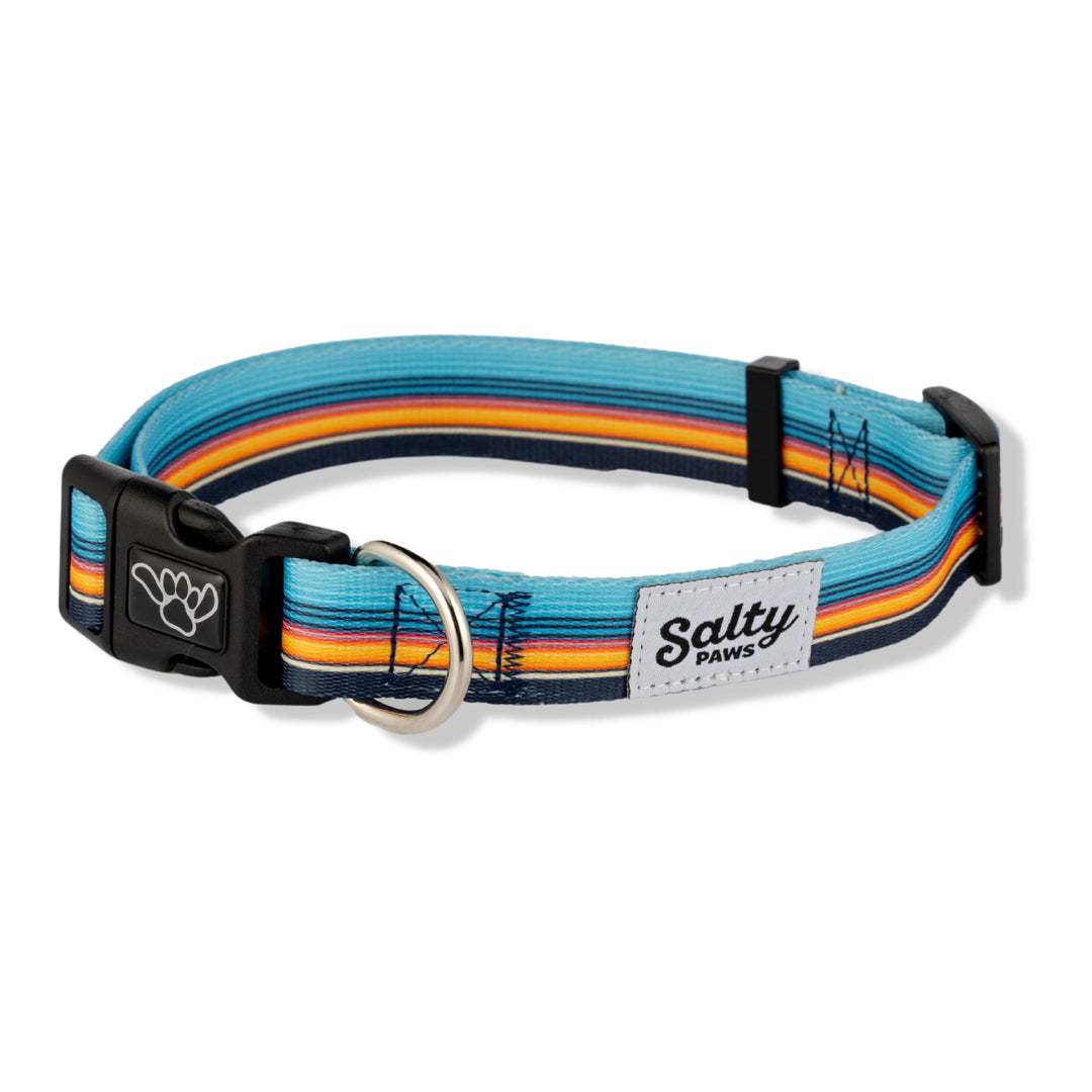 Salty Paws Surf Stripe dog collar — orange blue boy dog collar, surf brand