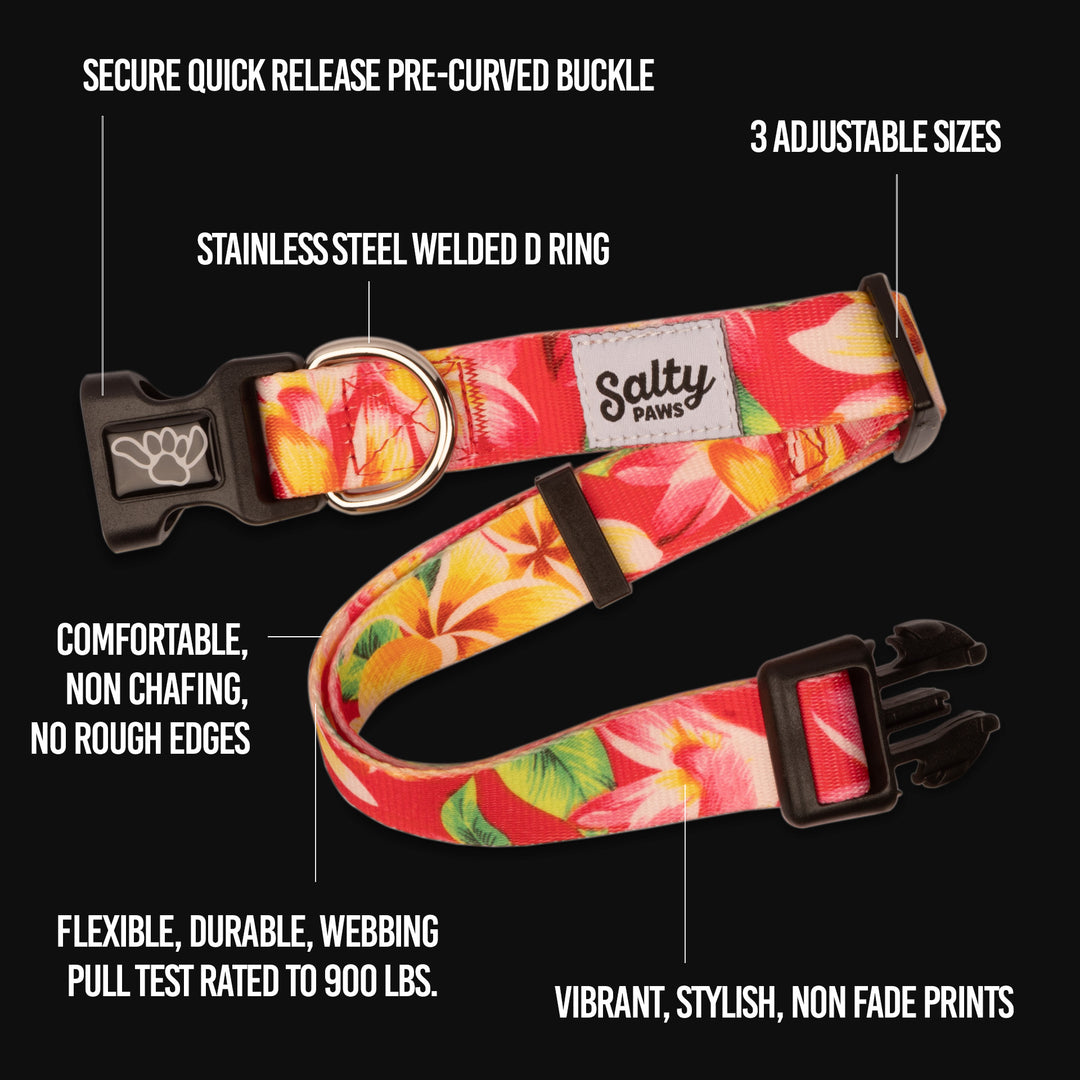 Comfortable Salty Paws dog collar — soft no-chafe webbing, three adjustable sizes