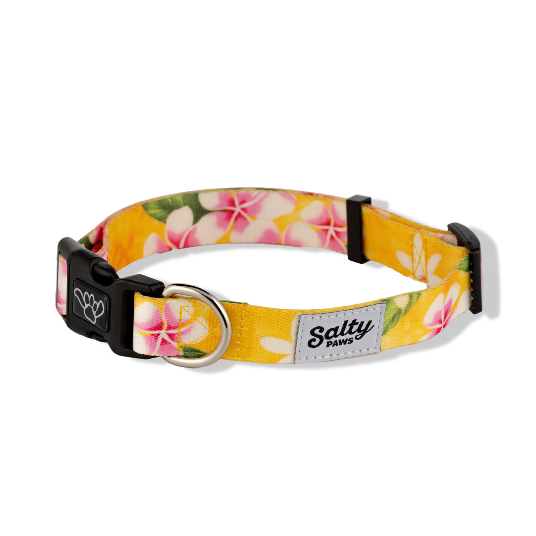 Salty Paws Yellow Floral Hawaiian dog collar — bright tropical girl dog collar