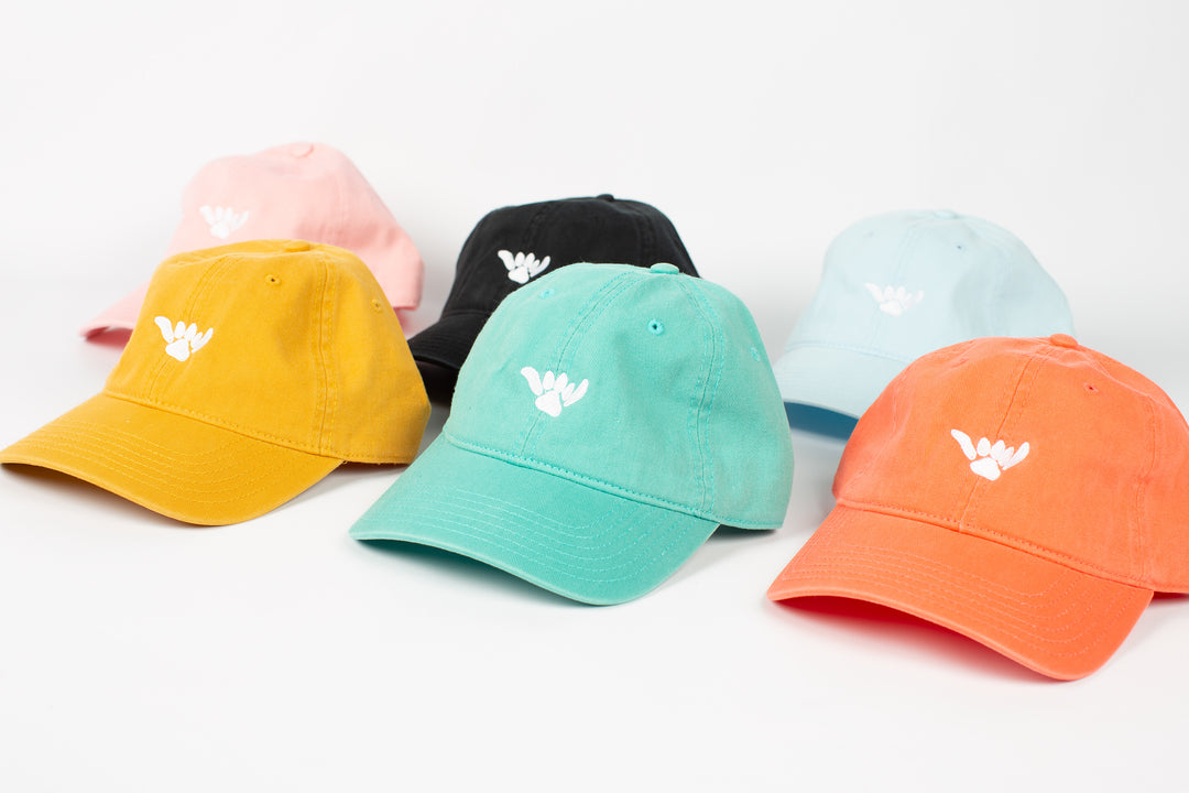 Salty Paws Shaka Paw dad hat — surf dog brand hat with embroidered shaka paw logo