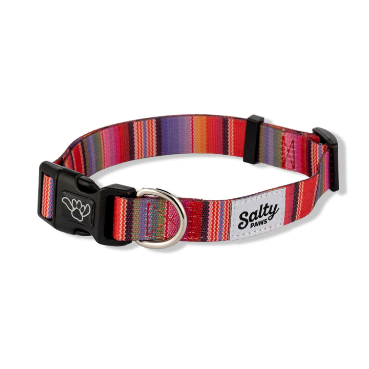 Salty Paws Baja Aztec dog collar — unique boho serape print on eco recycled webbing
